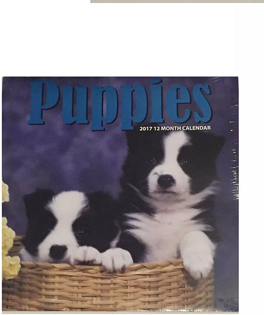 Puppies 12-Month 2017 Calendar