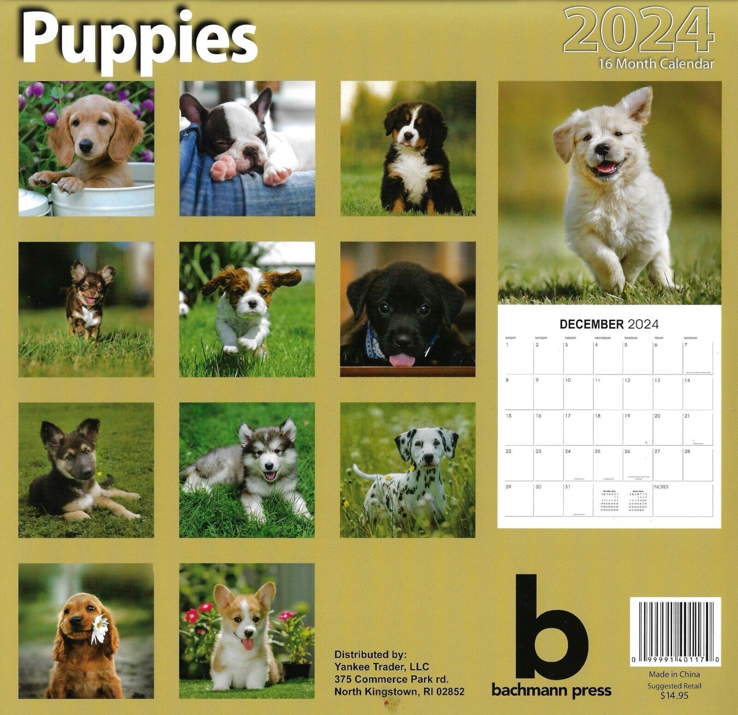 2024 Puppies Full Size Wall Calendar for Planning, Scheduling, and Organizing