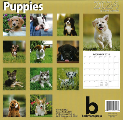 2024 Puppies Full Size Wall Calendar for Planning, Scheduling, and Organizing