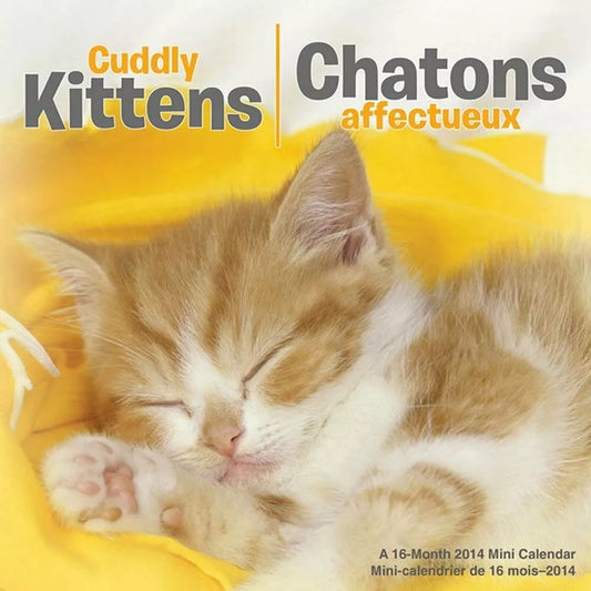 Cuddly Kittens 2014 Bilingual Mini Calendar
