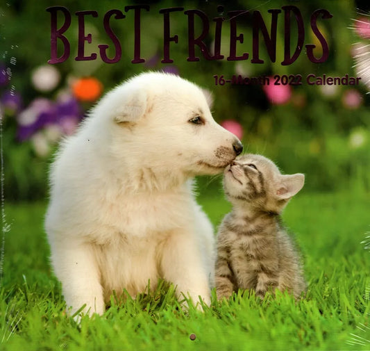 2022 16 Month Wall Calendar - Best Friends