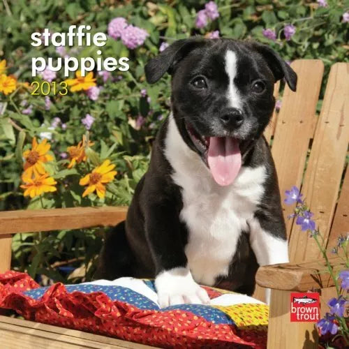 Staffie Puppies 2013 Calendar