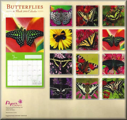 2014 Butterflies Wall Calendar