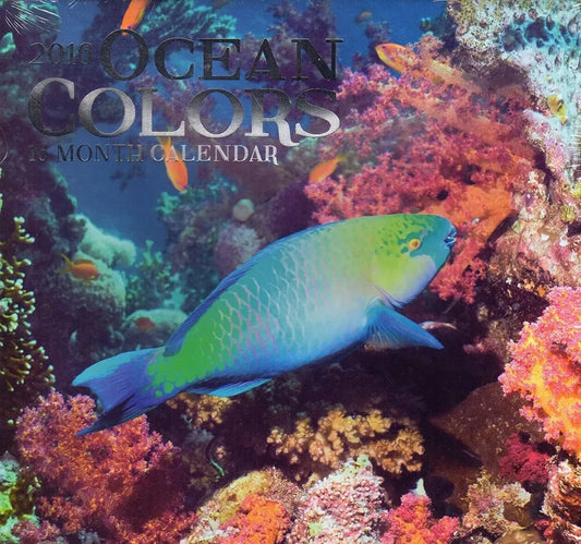 Ocean Colors - 2016-16 Month Wall Calendar