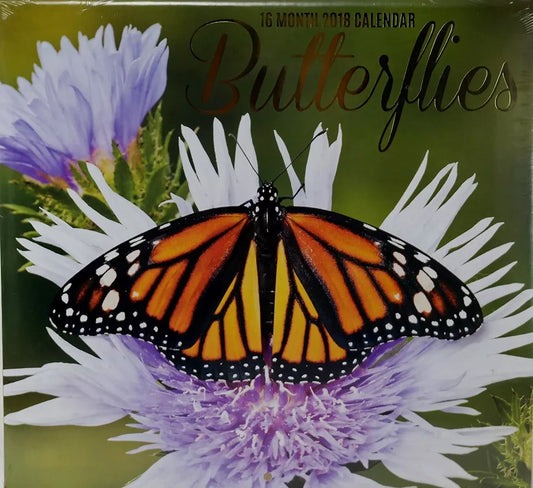 2018 Butterflies Color Monthly Wall Calendar, 12 x 22