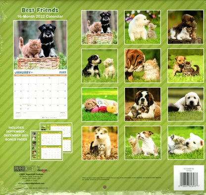2022 16 Month Wall Calendar - Best Friends