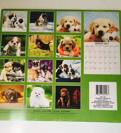Puppies 12-Month 2017 Calendar