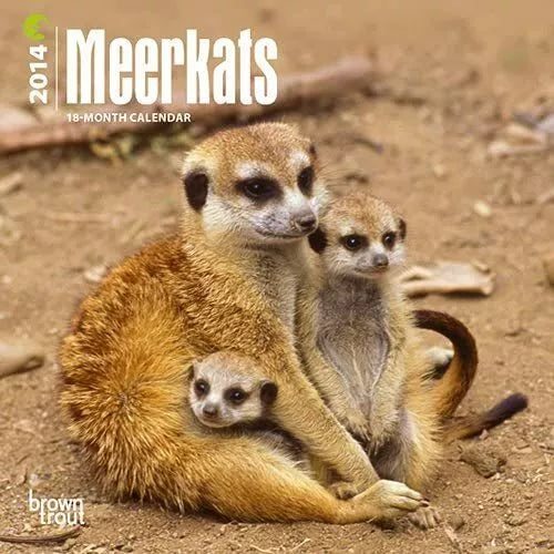 Meerkats - 2014 Mini Calendar