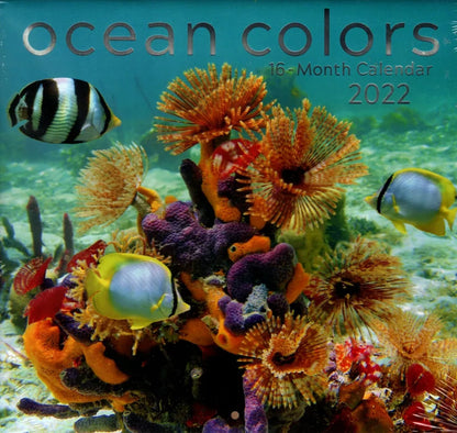 2022 16 Month Wall Calendar - Ocean Colors