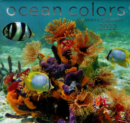 2022 16 Month Wall Calendar - Ocean Colors