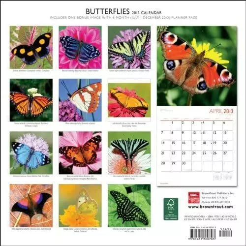 (12x12) Butterflies 2013 Wall Calendar