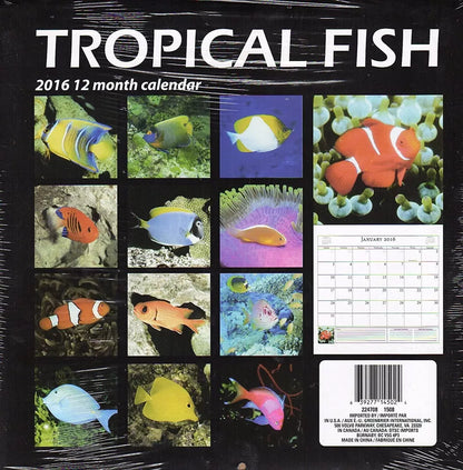Tropical Fish - 2016 12 Month Wall Calendar