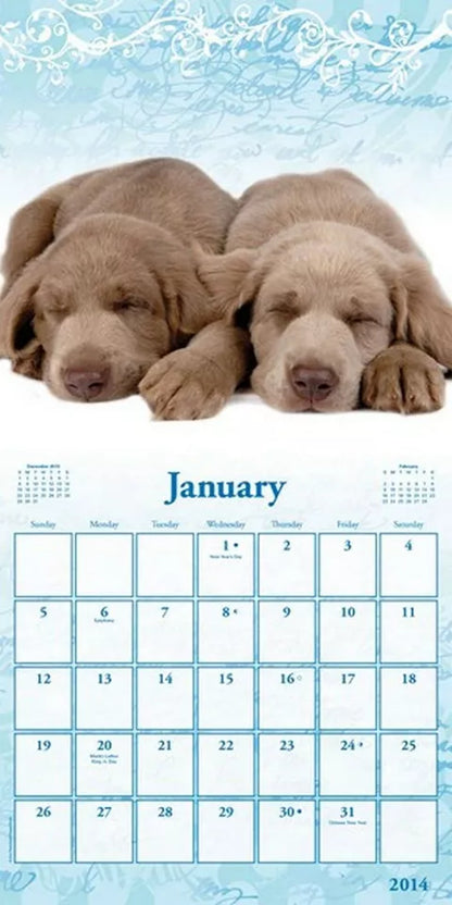 Buddies 2014 Mini Calendar