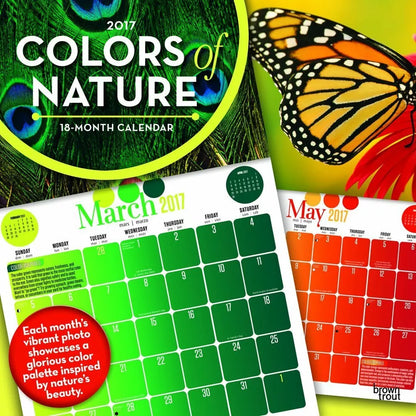 Colors of Nature 2017 Wall Calendar (Multilingual Edition)