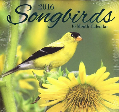 Songbirds - 2016-16 Month Wall Calendar