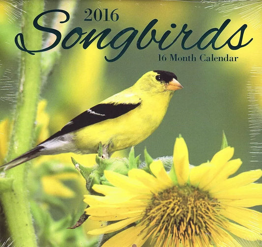 Songbirds - 2016-16 Month Wall Calendar