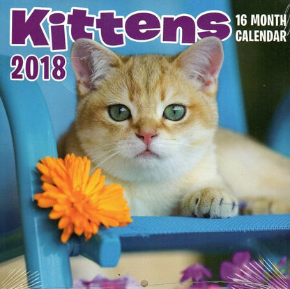 Kittens - 16 Month 2018 Wall Calendar Planner Organizer