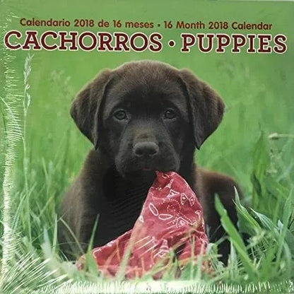 Cachorros / Puppies Bilingual 16 Month 2018 Calendar