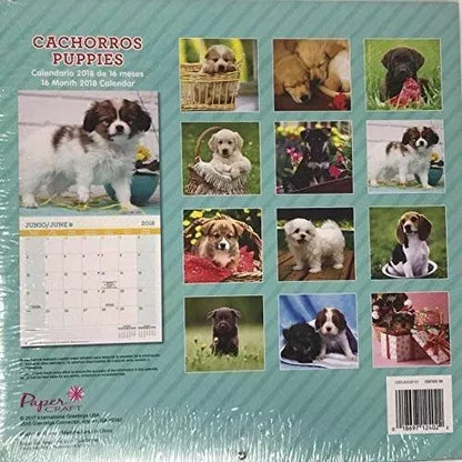 Cachorros / Puppies Bilingual 16 Month 2018 Calendar