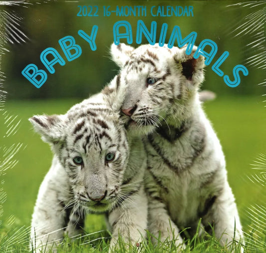 2022 16 Month Wall Calendar - Baby Animals