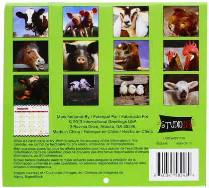 Funny Farm 16 Month 2014 Mini Wall Calendar