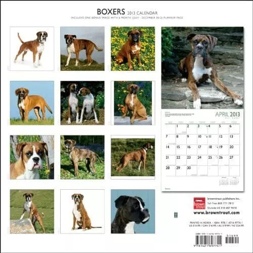 Boxers International 2013 Wall Calendar 12" X 12"