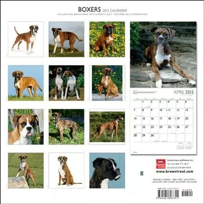Boxers International 2013 Wall Calendar 12" X 12"