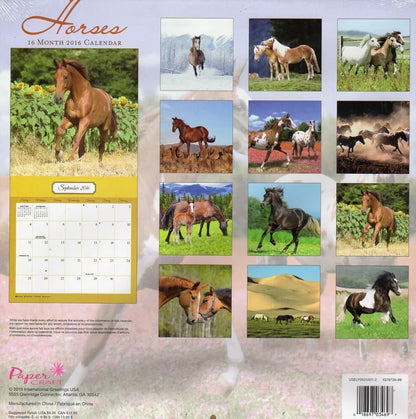 2016 Horses 16 Month Wall Calendar