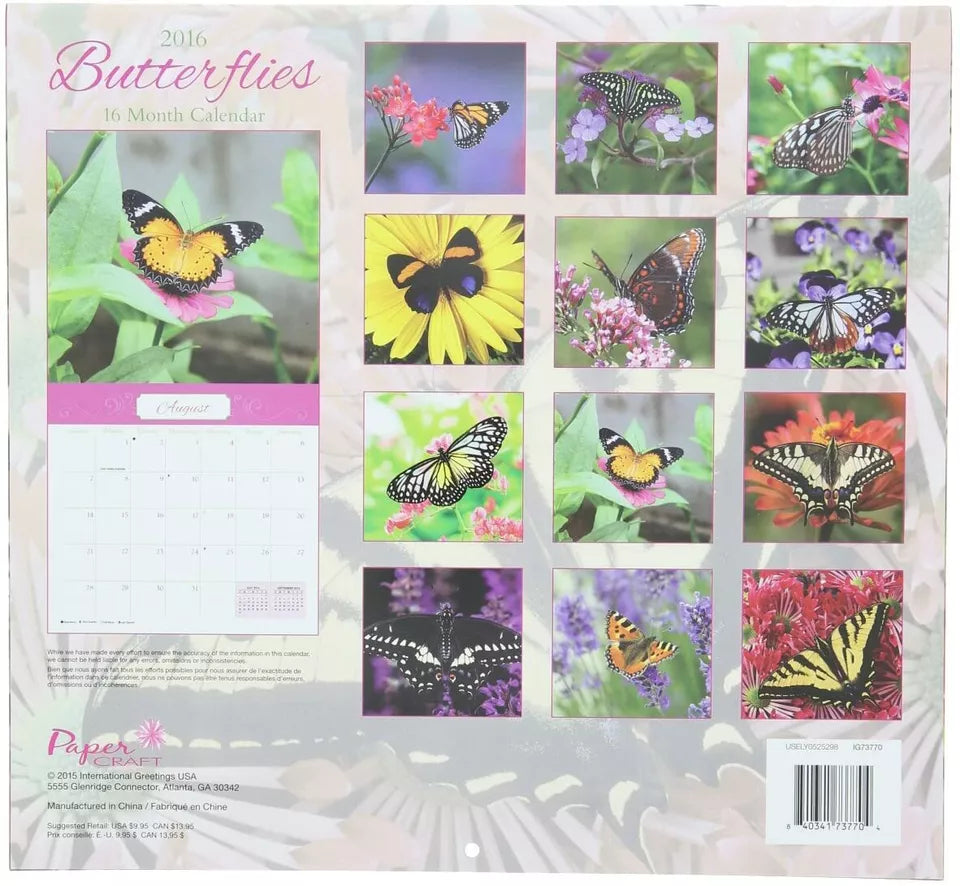 2016 Butterflies 16 Month Wall Calendar