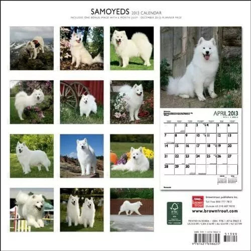 (12x12) Samoyeds - 2013 Wall Calendar
