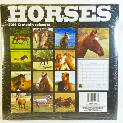 Horses 2016 12 Month Calendar