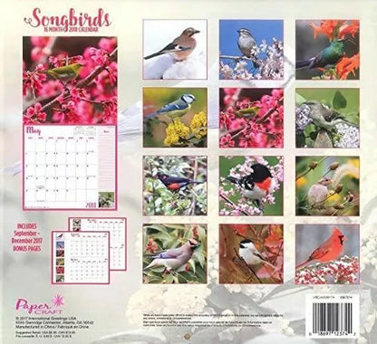 Songbirds 2018 Wall Calendar (16-month)