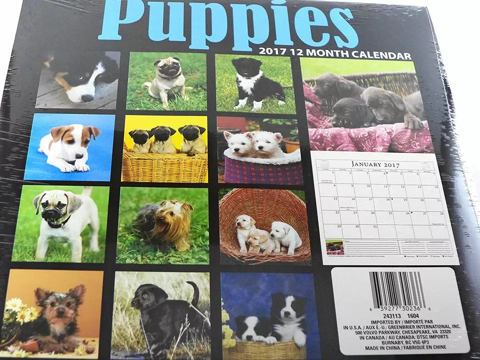 3 Piece Calendar Bundle Puppies and Dogs 2017 Wall Calendar and Dogs Mini Wall