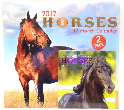 2017 Calendar Horses 12" x 12" With Mini Calendar