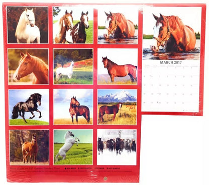 2017 Calendar Horses 12" x 12" With Mini Calendar