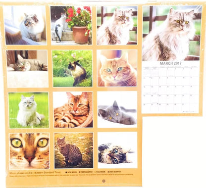2017 Cats Calendars 12" x 12" With Kittens Mini Calendar