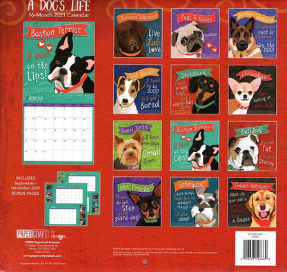 2021 16 Month Wall Calendar - A Dogs Life - with 100 Reminder Stickers