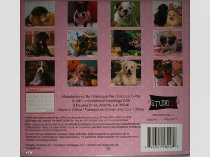 Puppy Love 16 Month 2014 Mini Wall Calendar