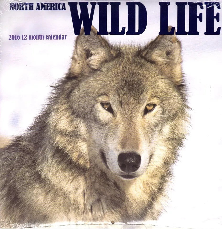 Wild Life - 2016 12 Month Wall Calendar