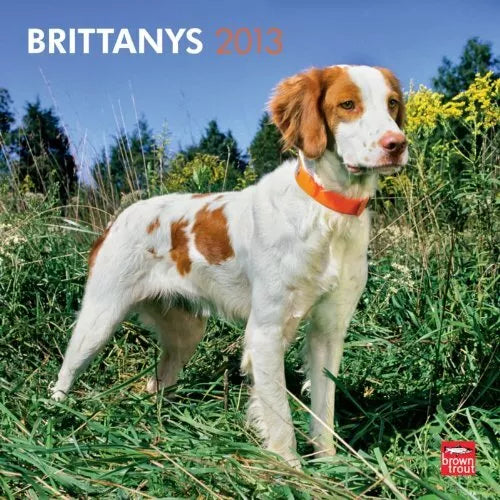 Brittanys 2013 Calendar (Multilingual Edition)
