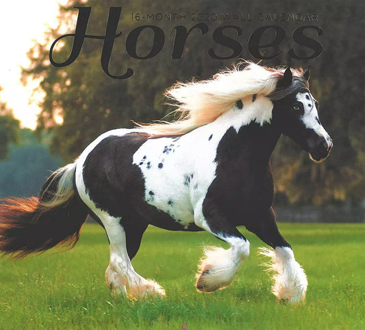 2020 Horses Full-Size Wall Calendar, 16-Month