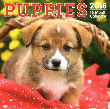 Puppies - 16 Month 2018 Wall Calendar Planner Organizer