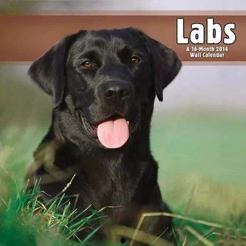 (12x12) Labs - 2014 Calendar
