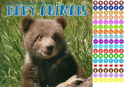 Baby Animals - 16 Month 2020 Wall Calendar - with 100 Reminder Stickers