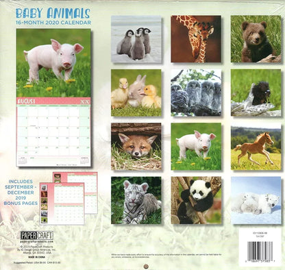 Baby Animals - 16 Month 2020 Wall Calendar - with 100 Reminder Stickers