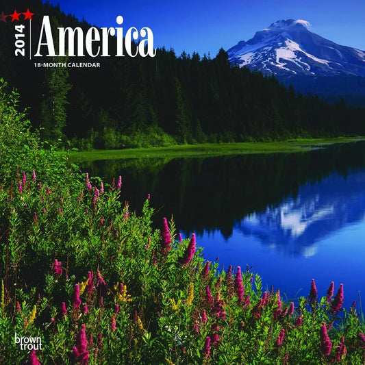 (12x12) America - 2014 Calendar
