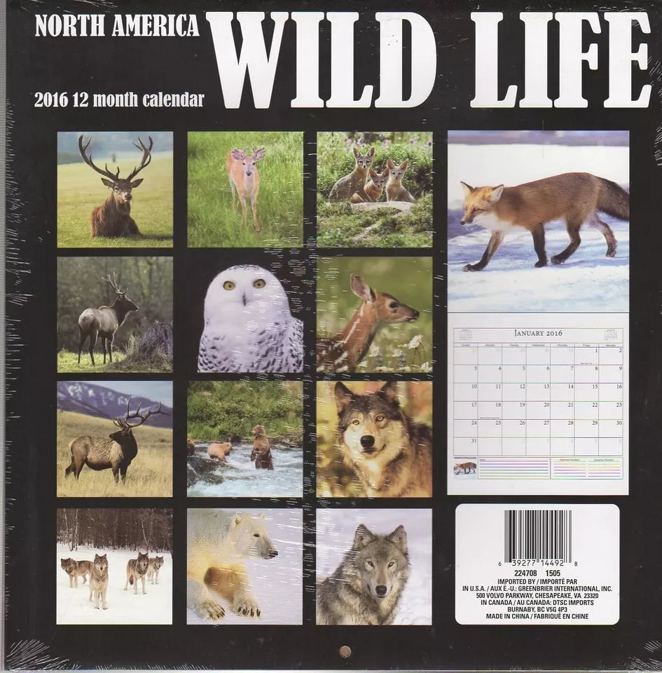 Wild Life - 2016 12 Month Wall Calendar