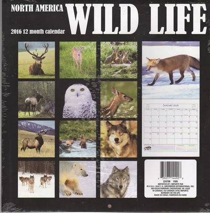 Wild Life - 2016 12 Month Wall Calendar