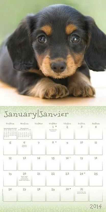 Puppies 2014 Bilingual Mini Calendar (English and French Edition)