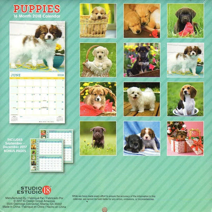 Puppies - 16 Month 2018 Wall Calendar Planner Organizer